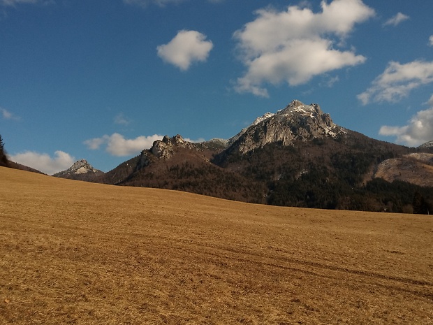 vrchy Malý Rozsutec 1344 m.n.m., Poludňové skaly a Veľký Rozsutec 1610 m.n.m. spod vrchu Boboty 1087 m.n.m.